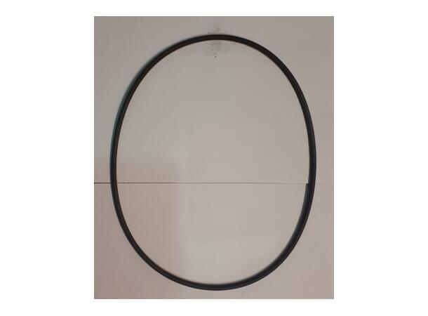 S58 O-ring OR 4625