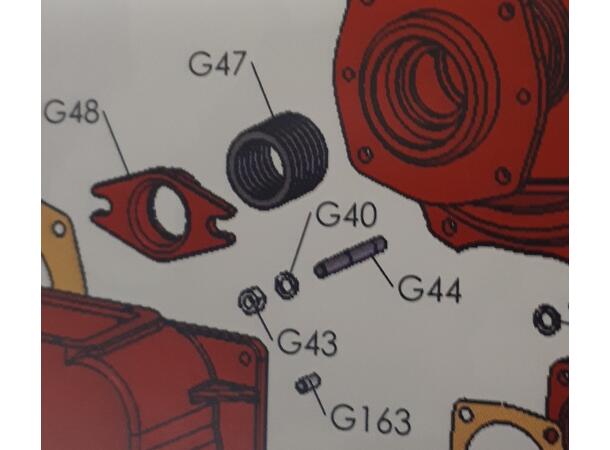 G43/I59 mutter messing M12 For GARDA