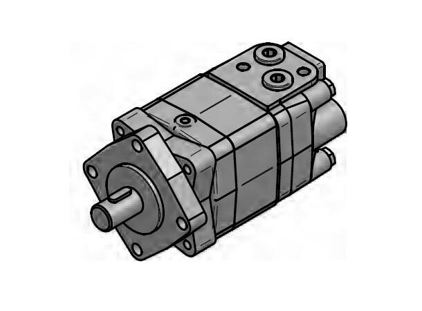 Gerolermotor Contarini