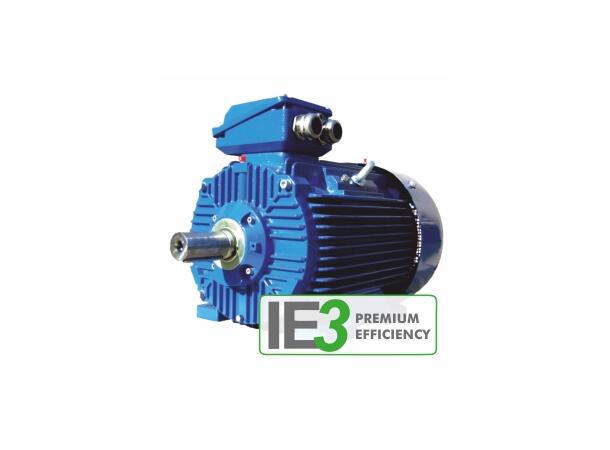 Elektromotor