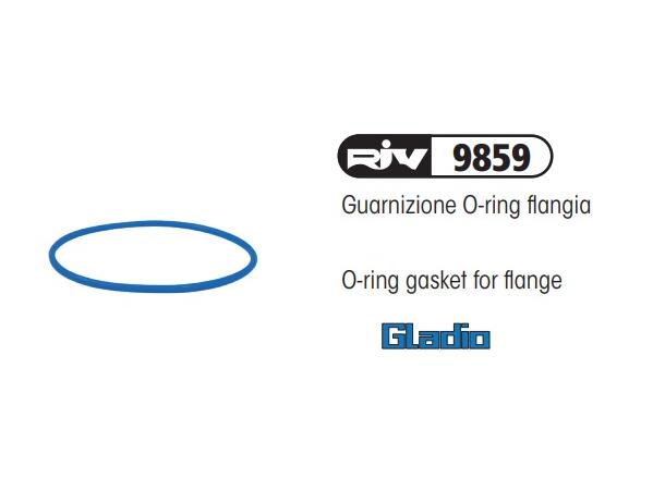 O-ring gasket for flange 4"
